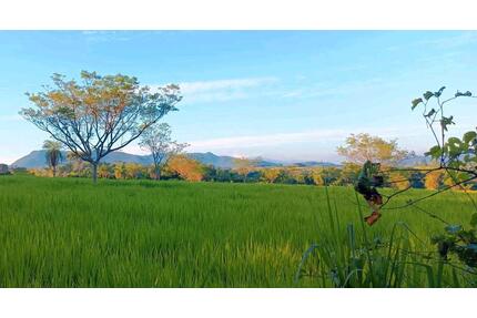 Paraguay | Auswandern | Exit Strategie | Exklusive Baugrundstücke - Satteldorf