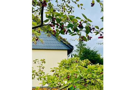 Einfamilienhaus mit Einliegerwohnung und großem Garten - Bad Sachsa
