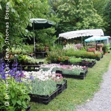 Pflanzenraritätenbörse im Botanischen Garten der Universität Jena