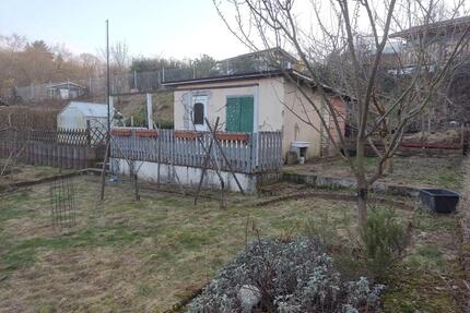 Kleingarten mit Laube, Gewächshaus und vielen Obstbäumen - 378 m² - Solingen Mitte