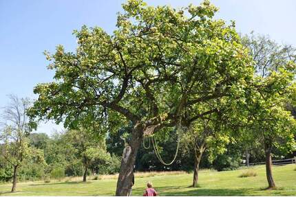 Charmantes Bruchsteinhaus mit Wärmepumpe & Ausbaupotenzial - 3.237 m² Naturgrundstück am Waldrand - Stolberg (Rhld.) Venwegen