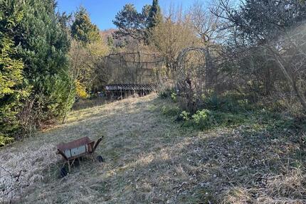 Gartengrundstück ab sofort Jena Ost zu vermieten mit Trampolin:)