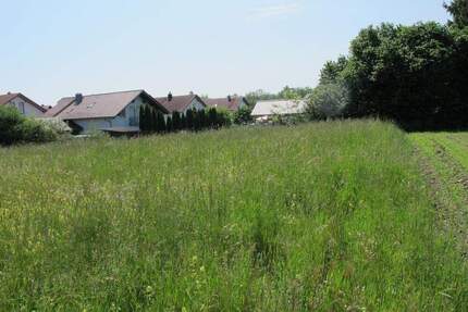 schönes großzügiges Baugrundstück in ruhiger Ortsrandlage - Burgkirchen an der Alz Grasset