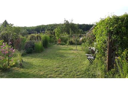 Schöner Selbstversorger-Kleingarten am Stötteritzer Wäldchen - Leipzig Ost