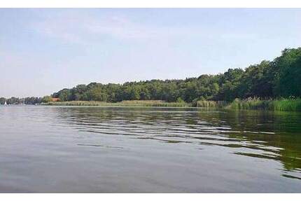 Nähe Habermannsee Attraktives Einfamilienhaus mit großem Grundstück und Erweiterungspotenzial - Berlin Mahlsdorf