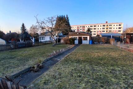 Sonnengarten mit 100% Sonnengarantie abzugeben - Plauen Altstadt