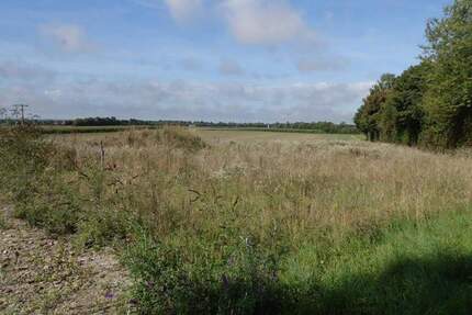 Grundstück mit genehmigten Plan für RH 3er und ein DH - Steinach Münster