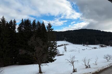 2-Zimmer Wohnung - ruhige Lage - neu renoviert - Zwiesel