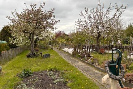 Schrebergarten mit Holzhaus und Schuppen - Emden Tholenswehr