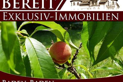 Grundstück zu verkaufen in Baden-Baden 1.100.000,00 € 420 m²