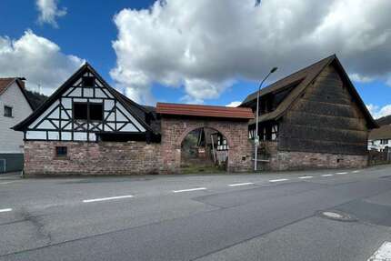 Haus zum Kaufen in Wald-Michelbach 470.000,00 € 425 m²