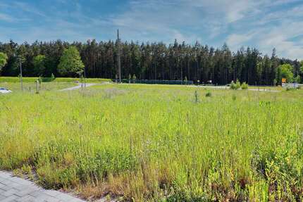 Grundstück zu verkaufen in Creußen 97.995,00 € 705 m²