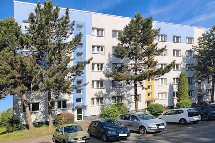 Wohnung zum Mieten in Borna 314,00 € 57 m²
