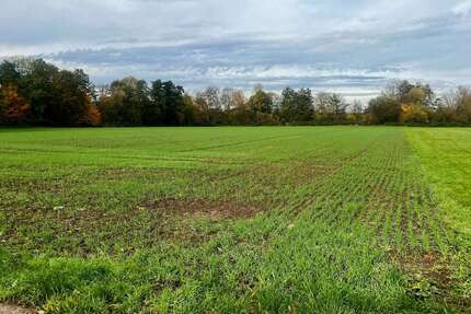 Grundstück zu verkaufen in Frankfurt am Main 59.900,00 € 3568 m²