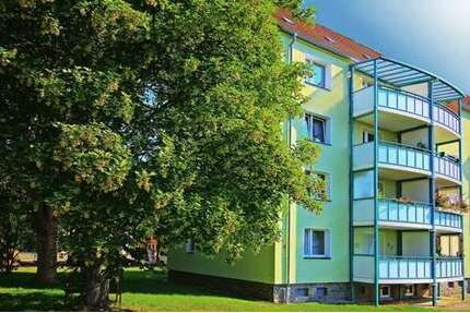 Wohnung zum Mieten in Zwickau 390,00 € 60 m²