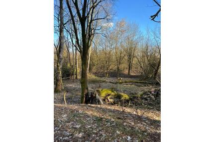 Verpachte Grundstück ca. 4000m² - Garten in Bestensee