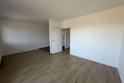 Wohnung zum Mieten in Jessen (Elster) 350,00 € 50 m²