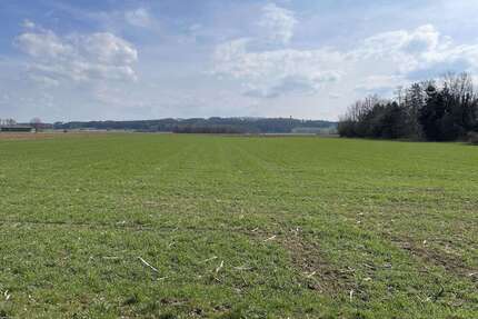Grundstück in Rieden 218.040,00 € 18170 m²