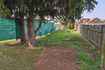 schönes Freizeit-und Gartengrundstück zur Pacht --> OHNE KGV - Leipzig West