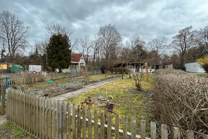 Gepflegter Kleingarten in Merseburg