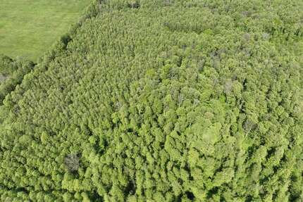 Grundstück zu verkaufen in Lübben (Spreewald) 29.999,00 € 14862 m²