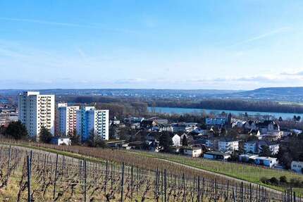 Wohnung zum Kaufen in Geisenheim 175.000,00 € 45 m²