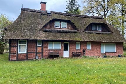 Idyllisches Haus mit Reetdach in Tewel. - Neuenkirchen