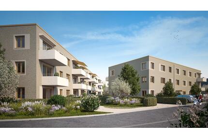 2 Zimmer in Elsdorf-Heppendorf (1B.03)