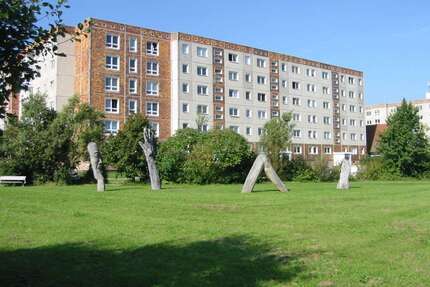 Wohnung zum Mieten in Stralsund 490,00 € 65 m²