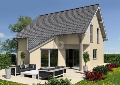 NEUBAU IHR FAMILIENHEIM IM GRÜNEN, A. D. DONAU - Scheer