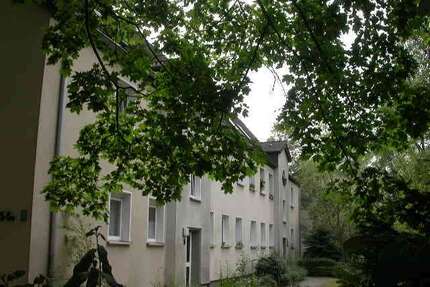 Wohnung zum Mieten in Düsseldorf 256,74 € 45.75 m²