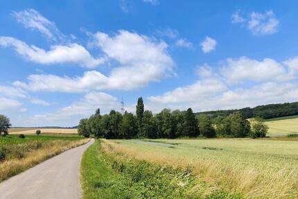 Ideales Naturgrundstück zum Verkauf - unberührt und idyllisch - Rodenberg