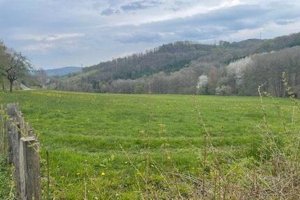 Wiese zur Heugewinnung - 13,00&nbsp;EUR Kaltmiete, ca.&nbsp; 0,00&nbsp;m&sup2; in Herscheid (PLZ: 58849)