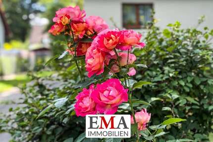 Haus zum Kaufen in Schönwalde-Glien 420.000,00 € 125 m²