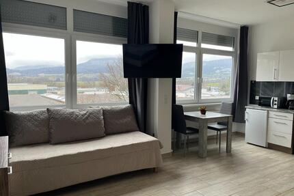 Sonniges vollmöbliertes 1-Zimmer-Appartement - Heiningen