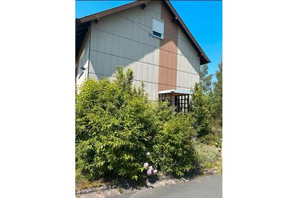 Einfamilienhaus mit 7 Zimmern, 798 m² Grundstück, Kamin & Sauna - Naila