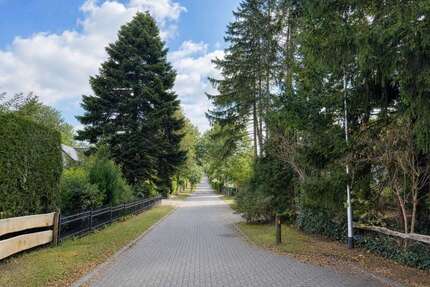 Grundstück zu verkaufen in Buchholz in der Nordheide 395.000,00 € 1256 m²