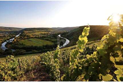 Grundstück zu verkaufen in Wiltingen 165.000,00 € 550 m²