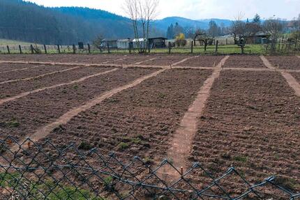 Miete dein Beet - 150,00&nbsp;EUR Kaltmiete, ca.&nbsp; 0,00&nbsp;m&sup2; in Bucha (PLZ: 07751)