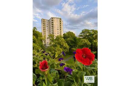Wohnung zum Kaufen in Wolfsburg Alt Wolfsburg 120.000,00 € 62 m² - Wolfsburg / Alt Wolfsburg