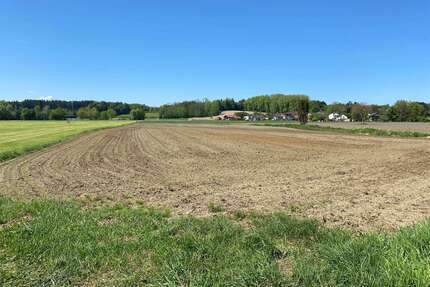 Grundstück in Schechen 190.000,00 € 10236 m²