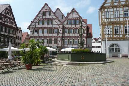 Wohnung zum Mieten in Leonberg 700,00 € 45 m²