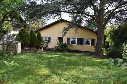 Haus zum Kaufen in MaintalDörnigheim 980.000,00 € 260 m² - Maintal/Dörnigheim