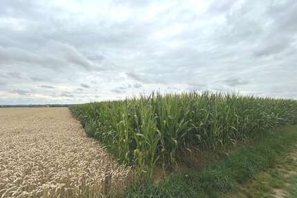 Grundstück in Ebershausen 129.900,00 € 13559 m²