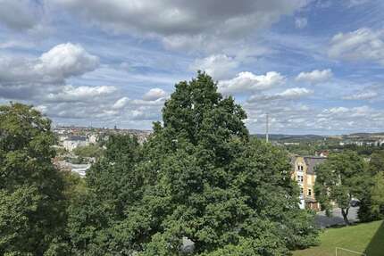 Wohnung zum Mieten in Plauen 247,43 € 45.4 m²
