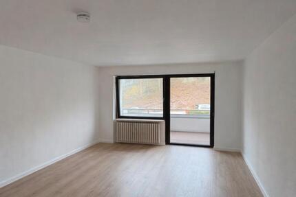 Einzimmerwohnung in Stuttgart West (Zamenhofstraße) - Mannheim Innenstadt