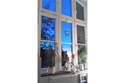 Wohnung zum Mieten in Zentrum 370,00 € 20 m²