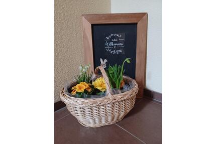 Ferienwohnung, Monteurwohnung in Pößneck