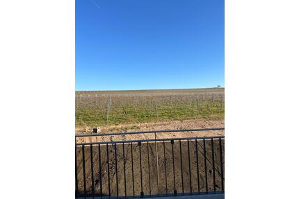 Humperdinckpark: 3-Zimmer,. 2. Oberg., Dachterrasse m. Markise, 1 Tiefgaragen- und 1 Außenstellplatz - Bad Kreuznach Bad Münster am Stein-Ebernburg