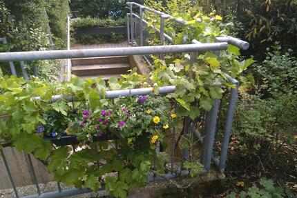 3 Zimmer Erdgeschosswohnung mit Gartenterasse - Aachen Aachen-Mitte